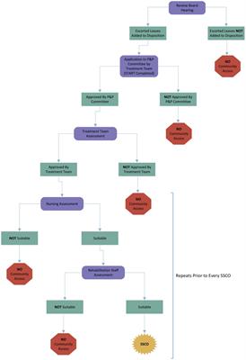 Staff supported community outings among forensic mental health patients: patient characteristics, rehabilitative goals, and (the absence of) adverse outcomes